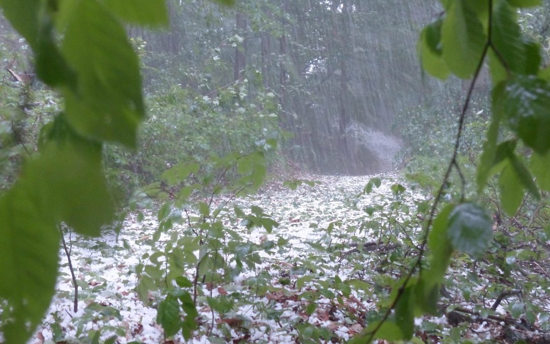 Noodweer tijdens festivals en evenementen