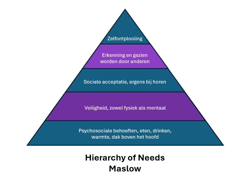 Gebruik Crowd Psychologie voor effectief Crowd Management